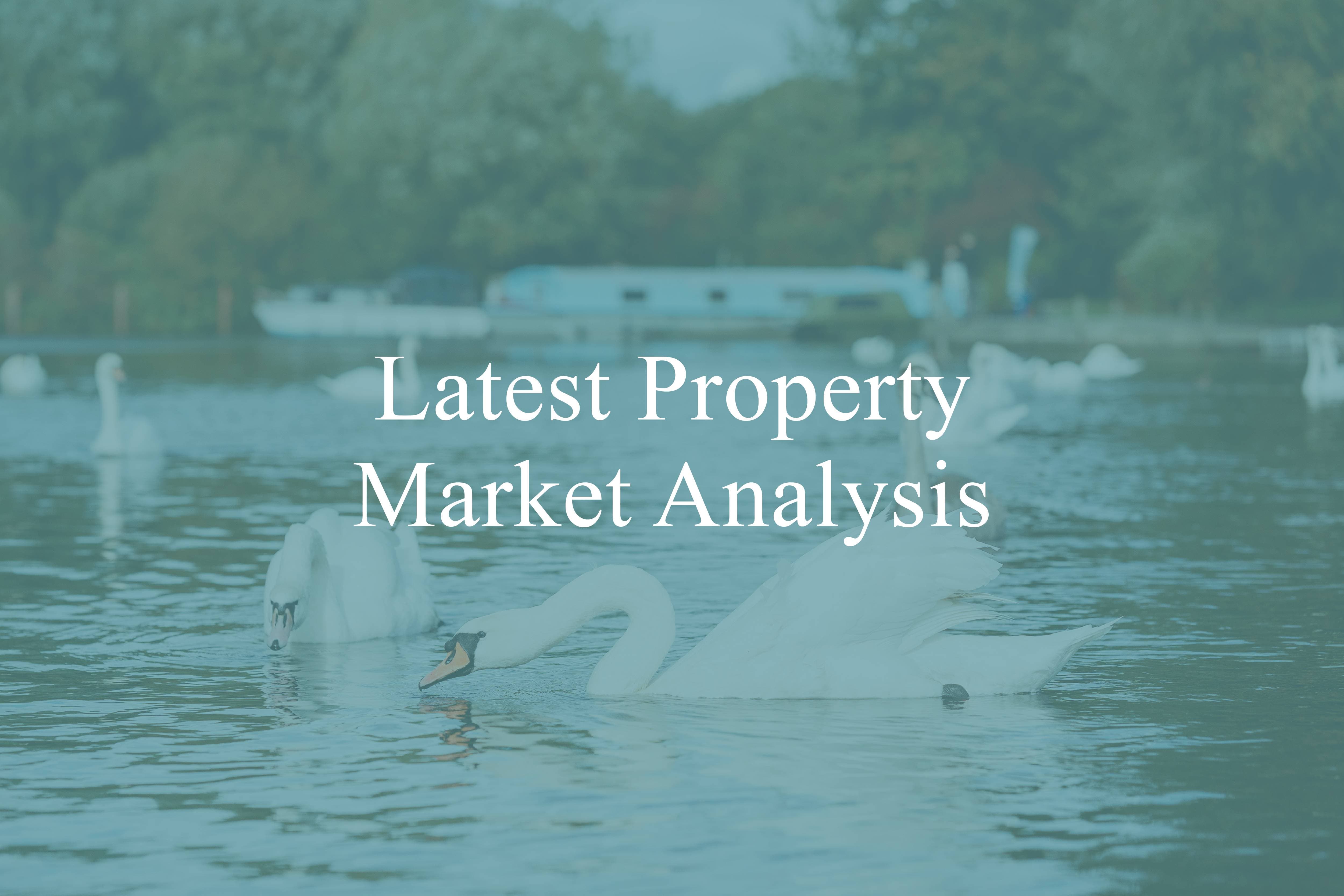January Property Market Analysis