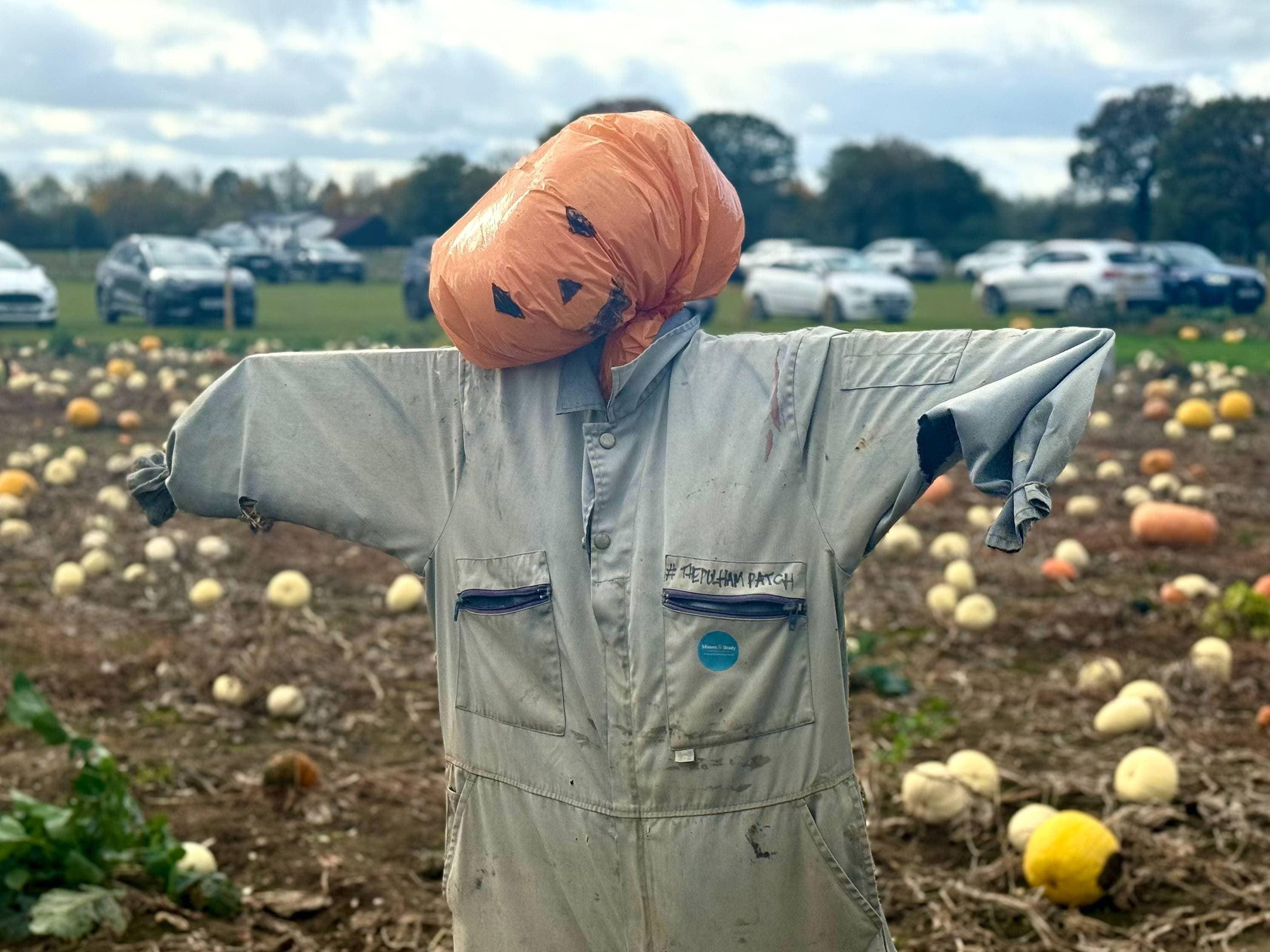 Halloween Smiles and Community Spirit at the Pulham Patch