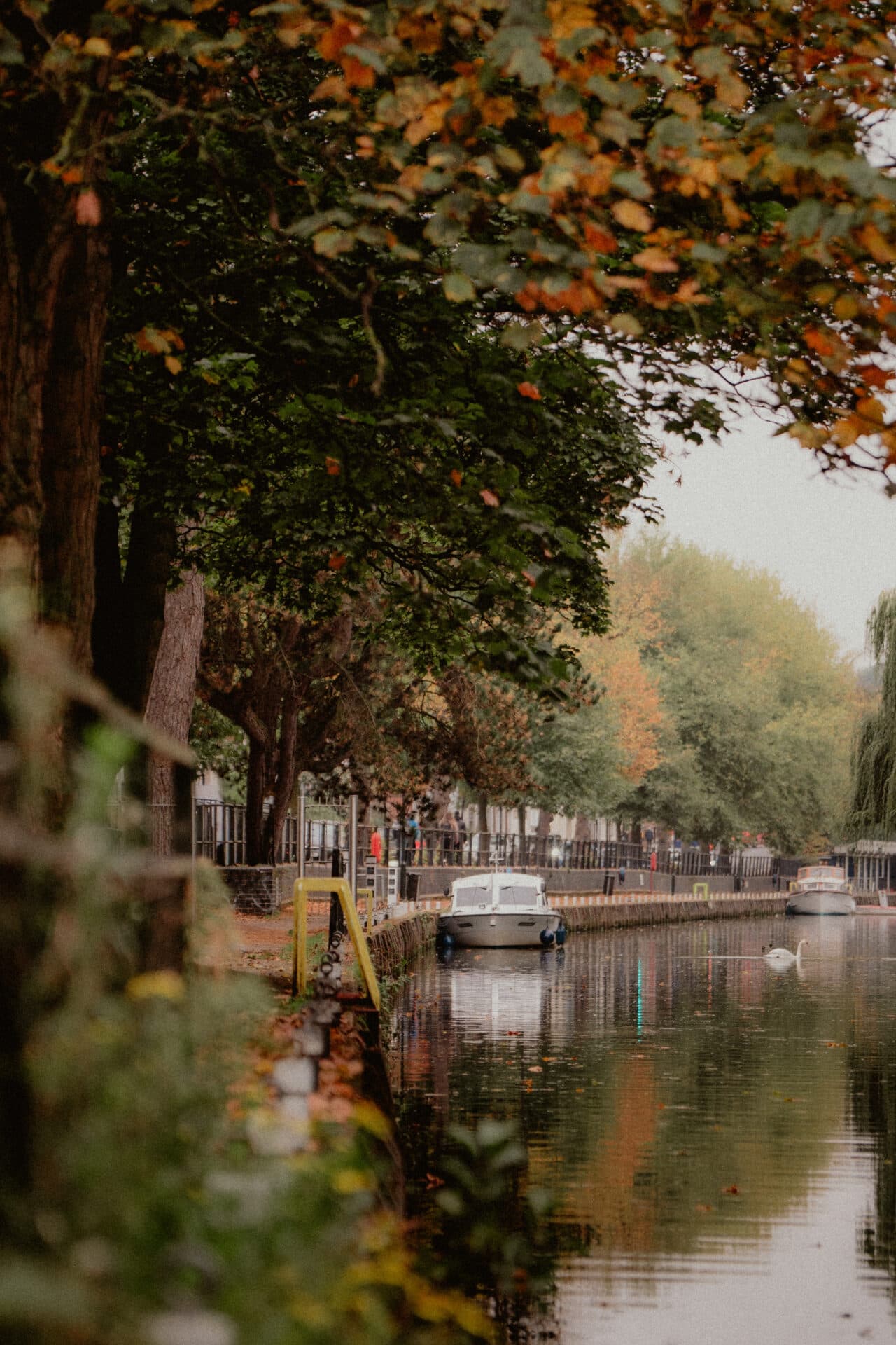 <p>Rent <span style="color:hsl(50,78%,52%);"><i>Collection</i></span></p>