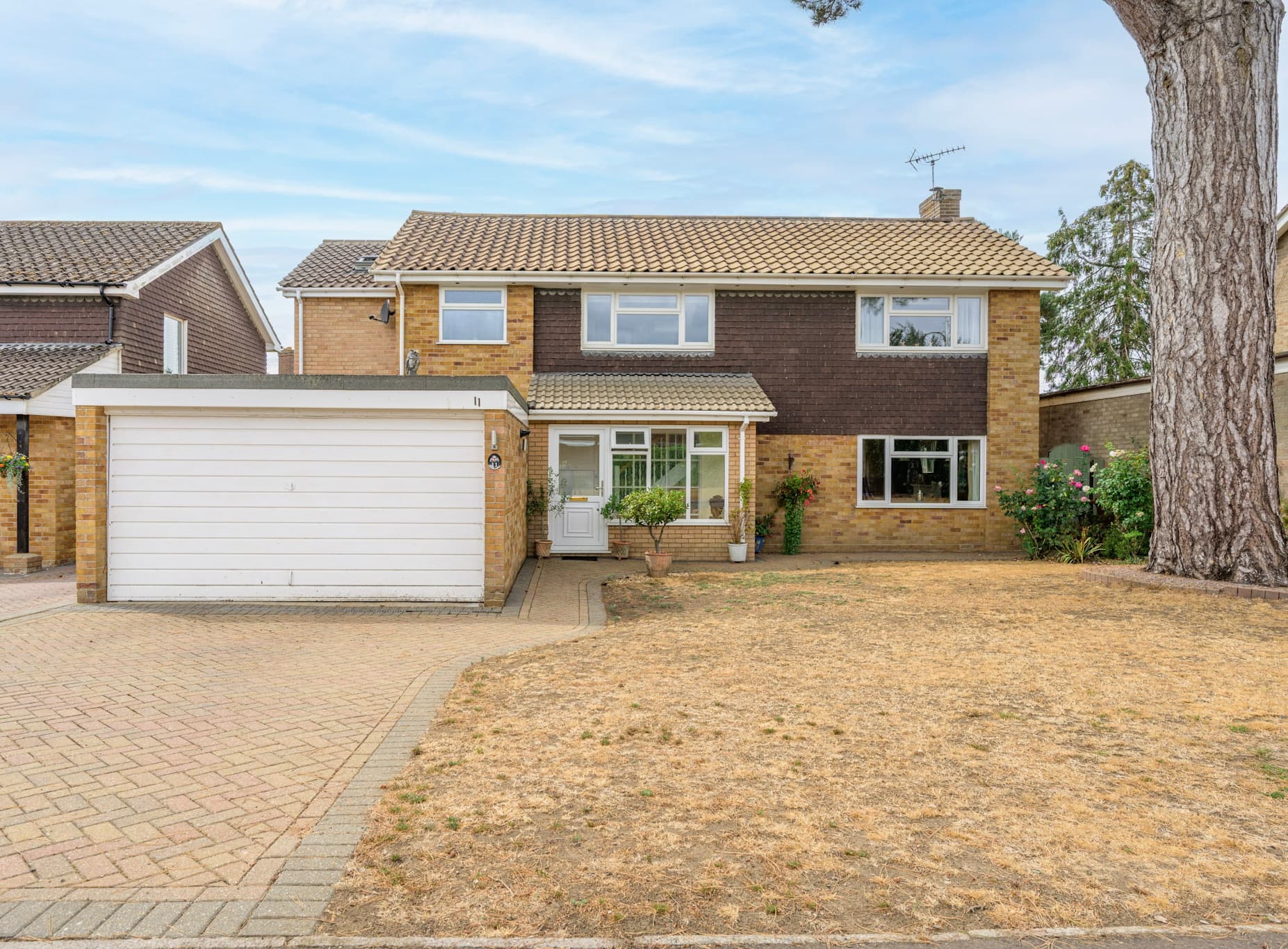 Hall Hills, Diss