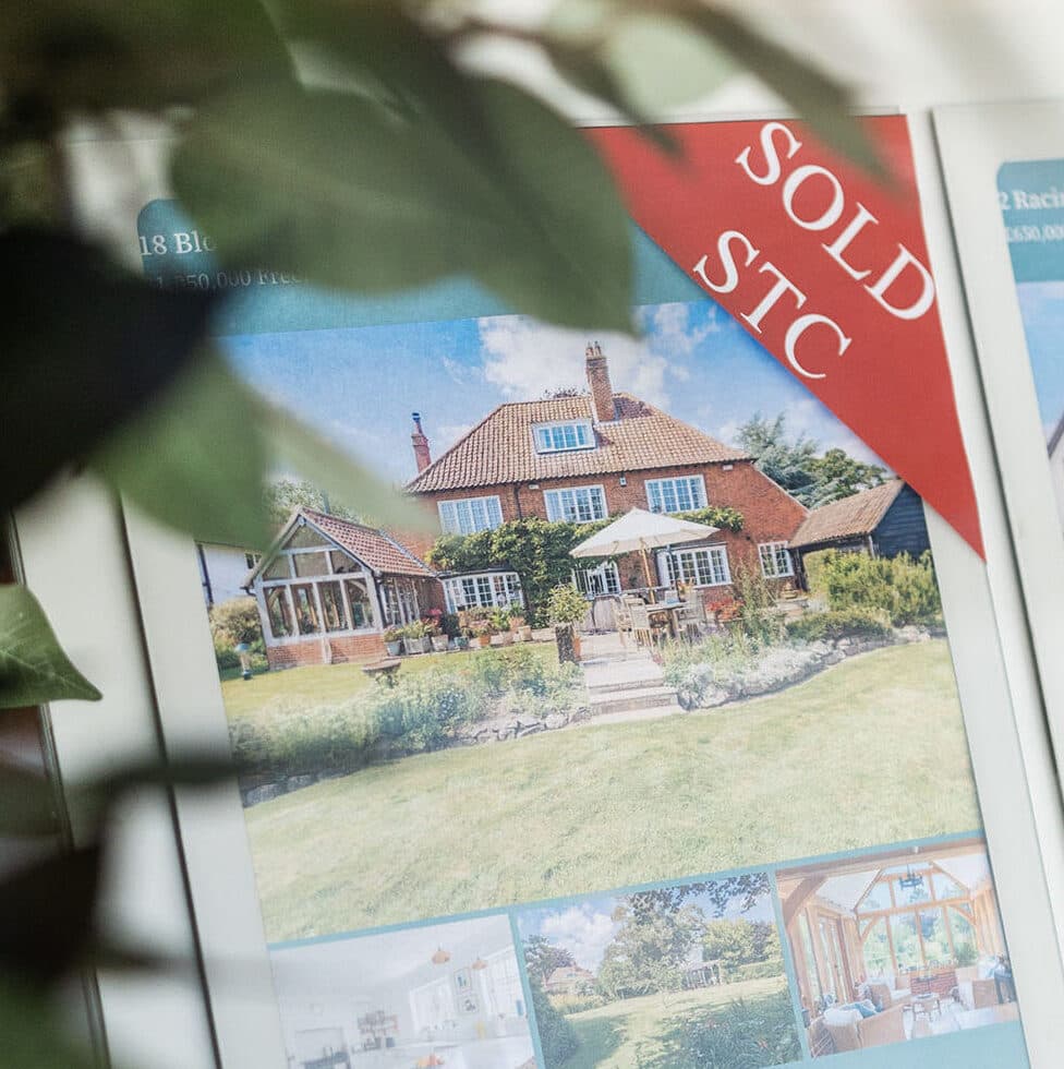 <p>Dedicated Progression & <span style="color:hsl(50,78%,52%);"><i>Accurate Marketing</i></span></p>