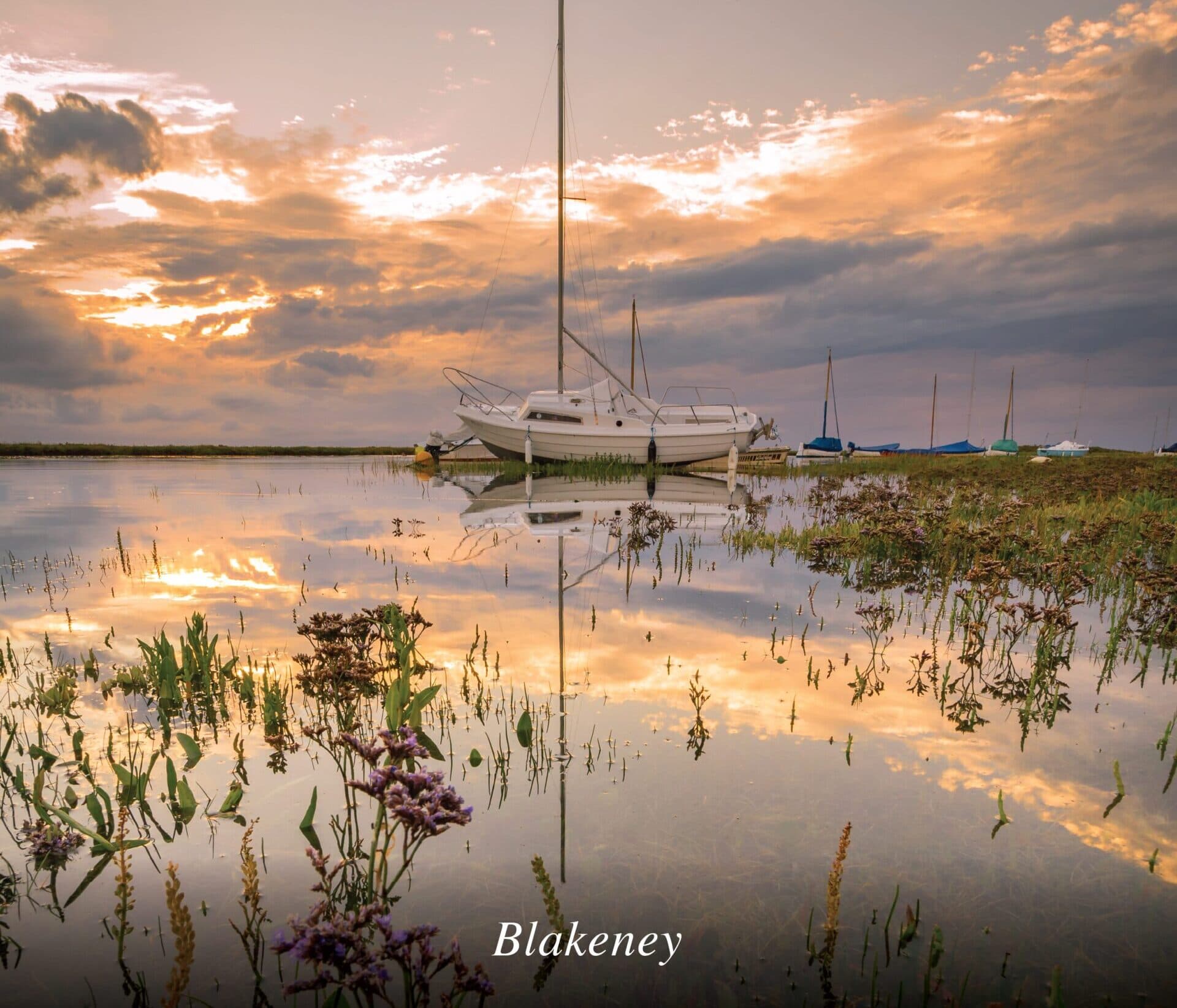 Rooted in</span> <span style="color:hsl(50,78%,52%);"><i>Norfolk</i></span></p> and <span style="color:hsl(50,78%,52%);"><i>Suffolk</i></span></p>