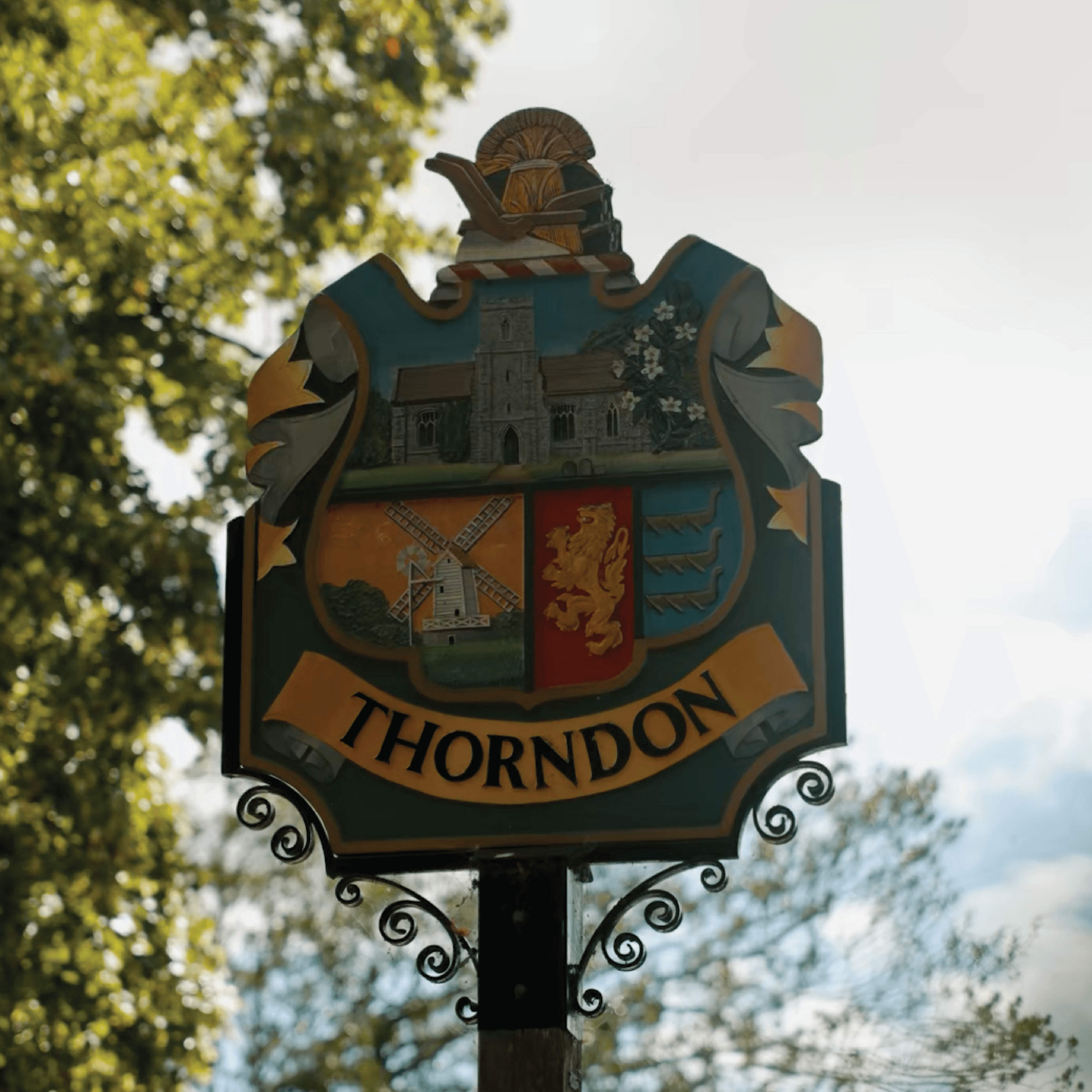 About <span style="color:hsl(50,78%,52%);"><i>Thorndon</i></span></p>